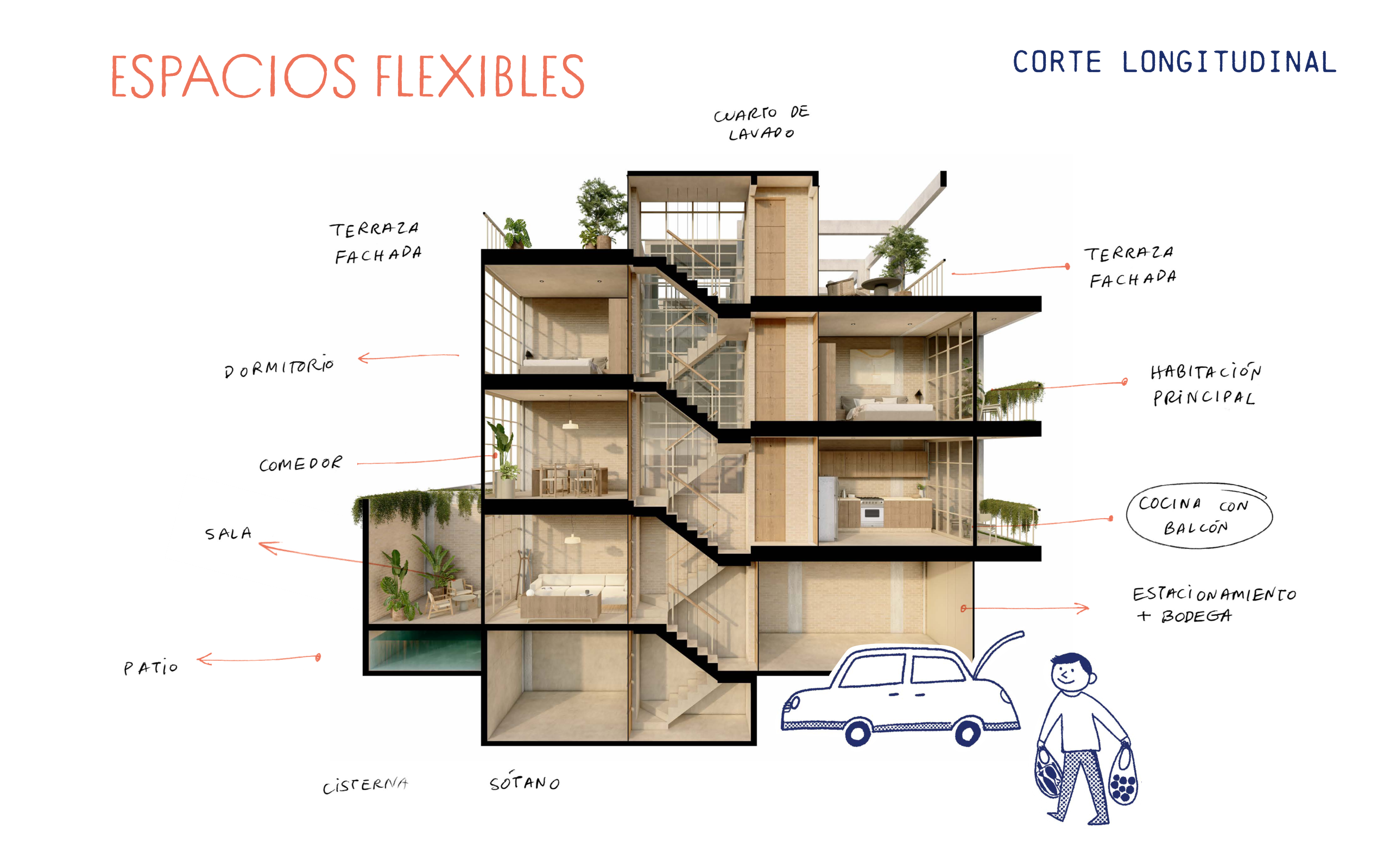 Corte longitudinal - espacios flexibles